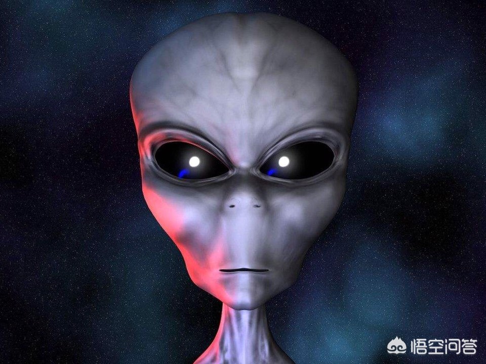 如果外星人突然来到地球上，我们该如何面对？981 / 作者:eromy / 帖子ID:46059