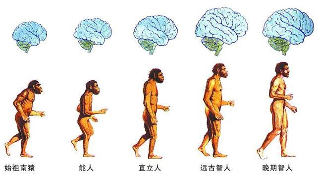 人类起源异说：大脚怪们或许才是地球真正的主人471 / 作者:daomei / 帖子ID:46076