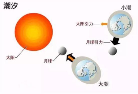 宇宙中运行的恒星或卫星与我们有多大关系？437 / 作者:wyo315 / 帖子ID:46124