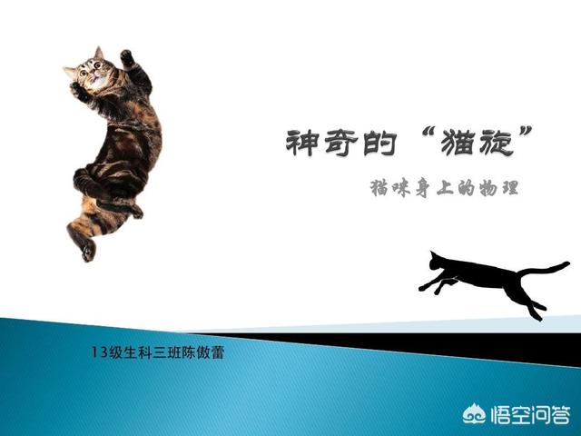 量子力学中的“薛定谔的猫”是不是有点扯淡？你怎么看？867 / 作者:eromy / 帖子ID:46141