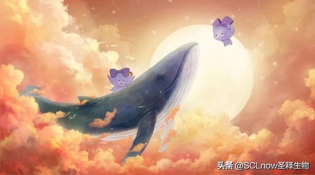 你相信时空旅行吗？598 / 作者:yPfiXGyC / 帖子ID:46209