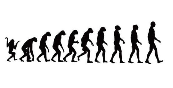 人类是如何进化成两足行走的？科学家深入研究，最终给出答案586 / 作者:daomei / 帖子ID:46212