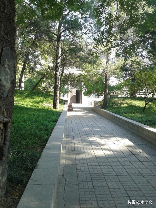 宇宙的起源是什么812 / 作者:ADUPREce / 帖子ID:46240