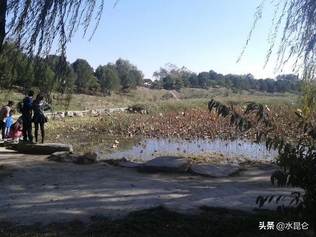宇宙的起源是什么348 / 作者:ADUPREce / 帖子ID:46240