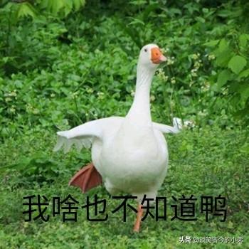 暗物质的存在是否表明“暗生命”的存在？572 / 作者:華大夫 / 帖子ID:46254