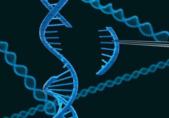 人类未来会进化成什么样子？科学家通过基因编程找到答案743 / 作者:dreamxyp@56.com / 帖子ID:46327