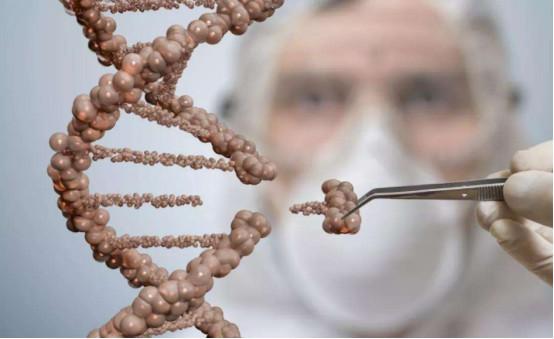 人类未来会进化成什么样子？科学家通过基因编程找到答案685 / 作者:dreamxyp@56.com / 帖子ID:46327