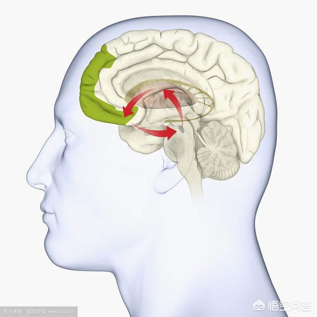 为什么有人说量子力学中“薛定谔的猫”半死不活的？233 / 作者:wlQdodbj / 帖子ID:46344