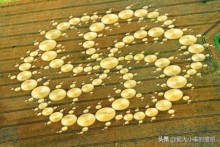 解密麦田怪圈之谜238 / 作者:aquila00 / 帖子ID:46386