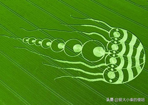 解密麦田怪圈之谜897 / 作者:aquila00 / 帖子ID:46386