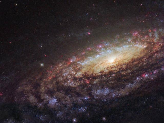 宇宙之大，曾经是否有外星人造访过地球呢？473 / 作者:GRcSXZPy / 帖子ID:46413