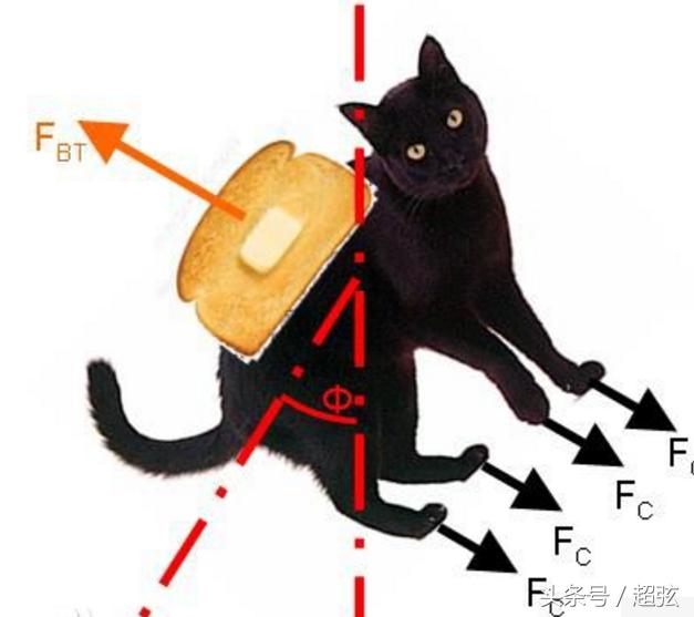 论黄油猫悖论 矛盾的存在组合体 黄油和猫到底孰是孰非724 / 作者:tgboler / 帖子ID:46499