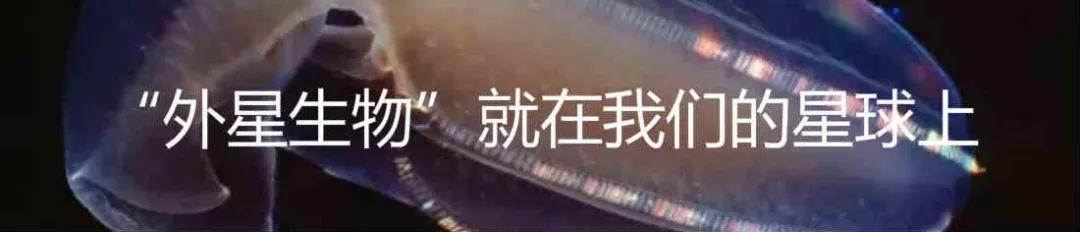 费米悖论、火星难题和黑暗森林理论的漏洞522 / 作者:ttyn727 / 帖子ID:46638
