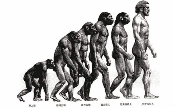 达尔文进化论失去意义？自然选择无效？红皇后假说冲击传统生物学662 / 作者:eason320hk / 帖子ID:46652