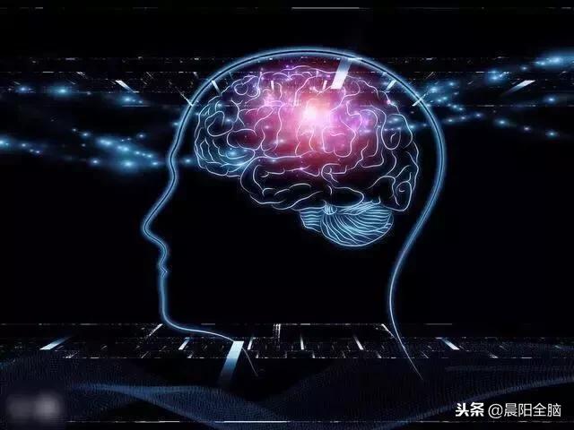 左脑思维的人和右脑思维的人有什么区别？你属于哪种思维优势？566 / 作者:twxd / 帖子ID:46675