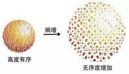趣谈恒星的命运及宇宙的命运946 / 作者:liuzengqiang_ / 帖子ID:46704