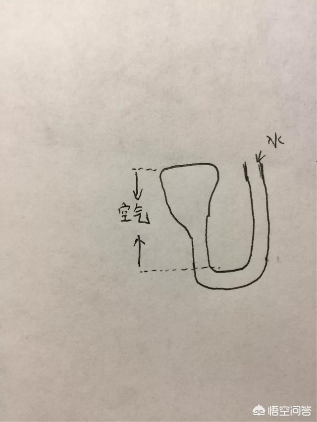 像这样的一个克莱因瓶(三维)能由底部的口装满水么？629 / 作者:fishbiscuit / 帖子ID:46756
