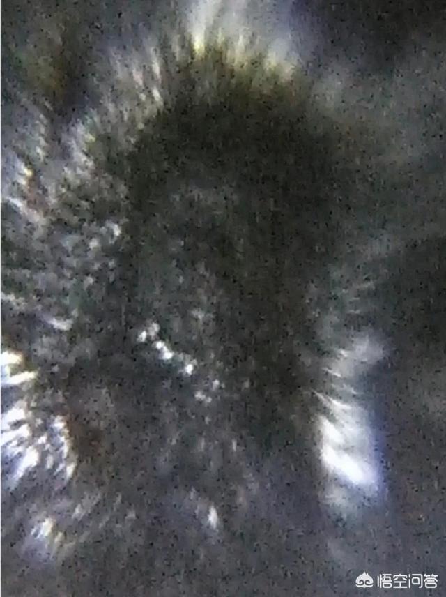 进化论是假说吗？939 / 作者:a88225573 / 帖子ID:46811