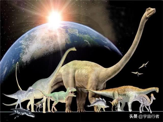 人类的生存时间会超过恐龙吗？大数据分析告诉你答案982 / 作者:ADUPREce / 帖子ID:46815