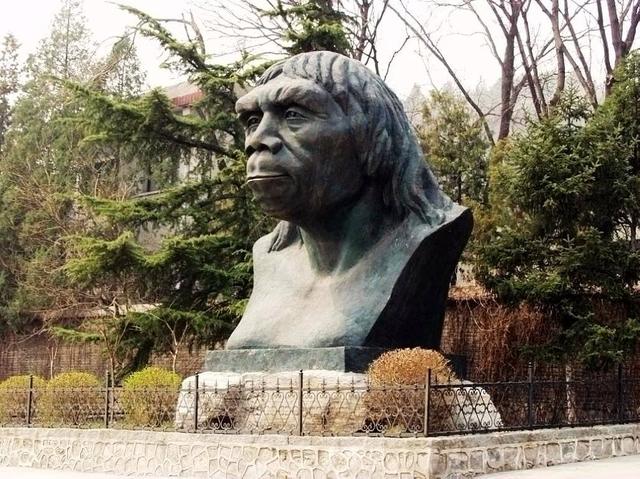 人类起源：北京猿人950 / 作者:donaldjackie / 帖子ID:46870