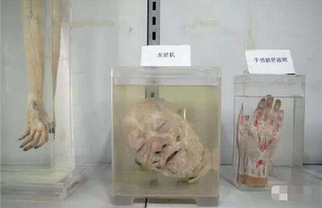 张伟杰事件是怎么回事 美女主持人因偷情被疯狂报复408 / 作者:UFO外星人爱好者 / 帖子ID:46966