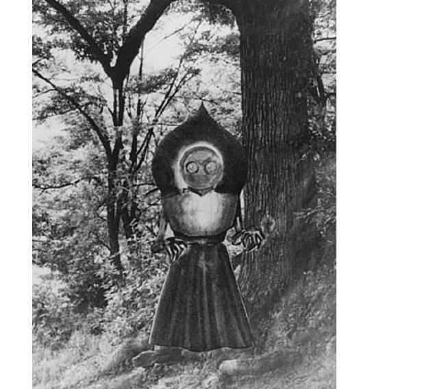 世界十大神秘生物 像谜一样的神秘生物263 / 作者:UFO外星人爱好者 / 帖子ID:47216