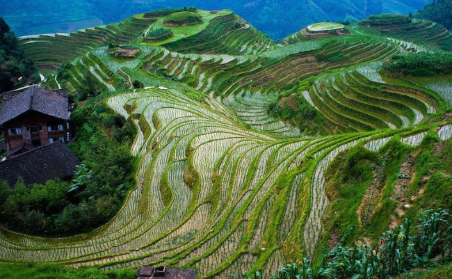 中国十大最佳旅游景点 让你流连忘返556 / 作者:UFO外星人爱好者 / 帖子ID:47332