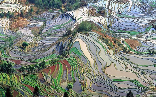 中国十大最佳旅游景点 让你流连忘返308 / 作者:UFO外星人爱好者 / 帖子ID:47332