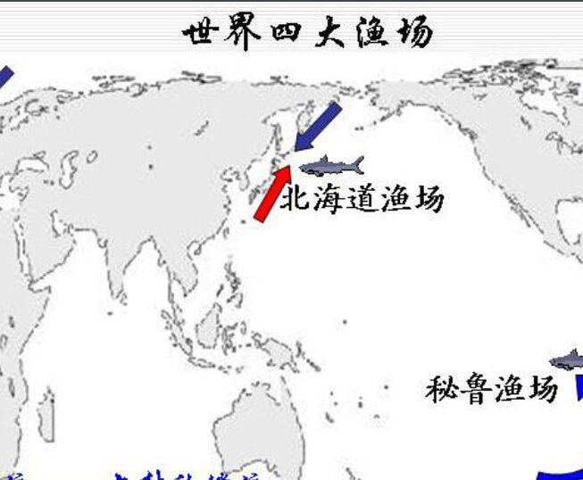 世界四大渔场 纽芬兰渔场已成为历史386 / 作者:UFO外星人爱好者 / 帖子ID:47304