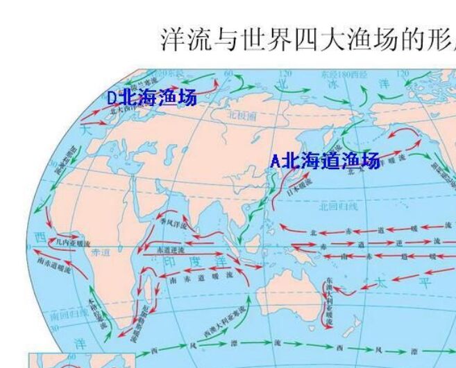世界四大渔场 纽芬兰渔场已成为历史589 / 作者:UFO外星人爱好者 / 帖子ID:47304