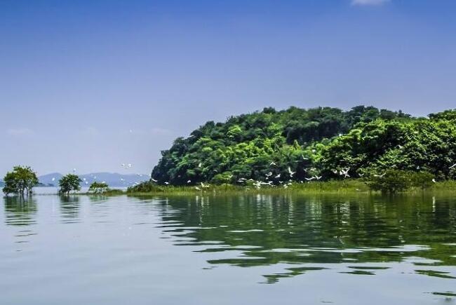 中国五大淡水湖 中国文化的发源地367 / 作者:UFO外星人爱好者 / 帖子ID:47301