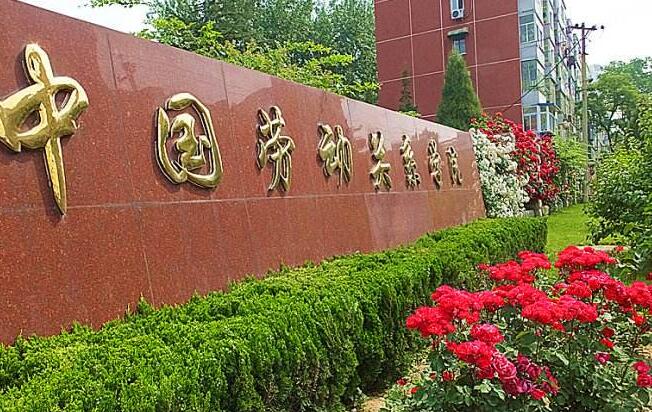 政法大学排名 中国有哪些政法学校326 / 作者:UFO外星人爱好者 / 帖子ID:47410