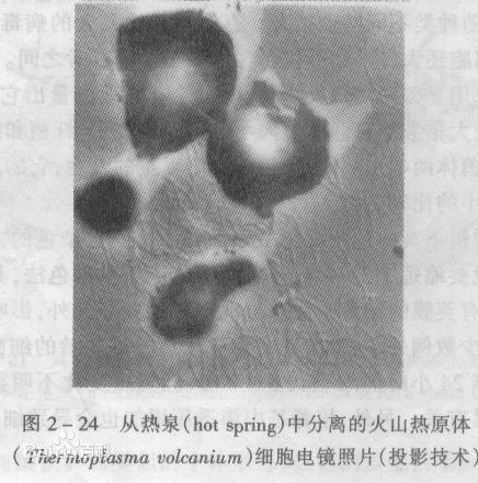 科学家发现改写人类生命的微生物“暗物质”，未来将产生深远影响579 / 作者:静静的读你 / 帖子ID:47494