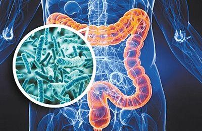 科学家发现改写人类生命的微生物“暗物质”，未来将产生深远影响242 / 作者:静静的读你 / 帖子ID:47494