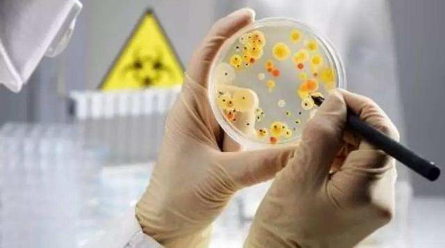 科学家发现改写人类生命的微生物“暗物质”，未来将产生深远影响794 / 作者:静静的读你 / 帖子ID:47494
