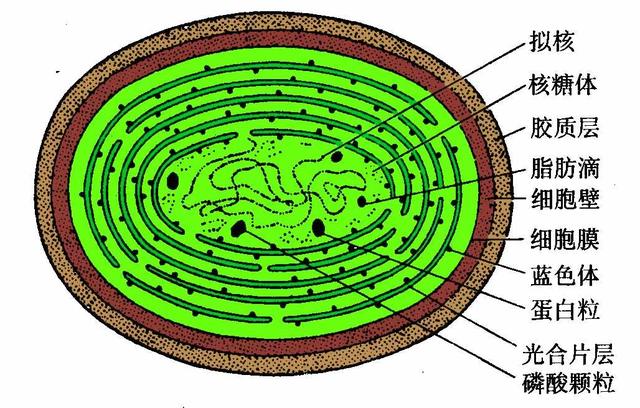 科学家发现改写人类生命的微生物“暗物质”，未来将产生深远影响852 / 作者:静静的读你 / 帖子ID:47494