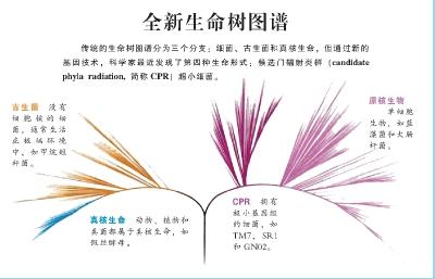 科学家发现改写人类生命的微生物“暗物质”，未来将产生深远影响182 / 作者:静静的读你 / 帖子ID:47494