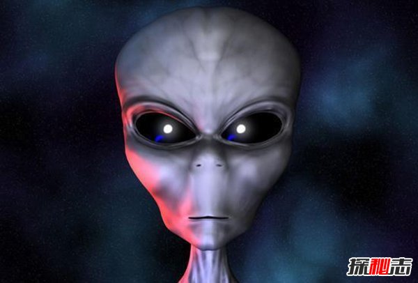 未来人类会是什么样子?大大的脑袋脚上还长蹼393 / 作者:UFO外星人爱好者 / 帖子ID:47532