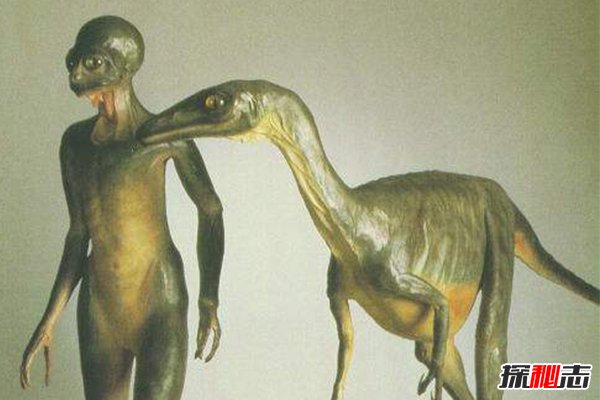 恐龙人学说：如果恐龙没有灭绝，将进化成人统治地球565 / 作者:UFO外星人爱好者 / 帖子ID:47522