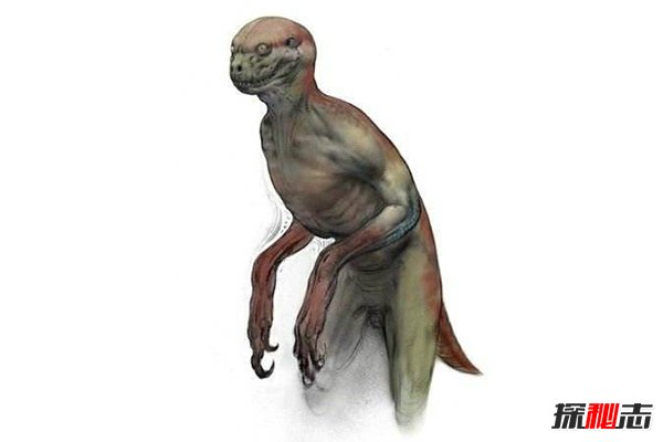 恐龙人学说：如果恐龙没有灭绝，将进化成人统治地球611 / 作者:UFO外星人爱好者 / 帖子ID:47522