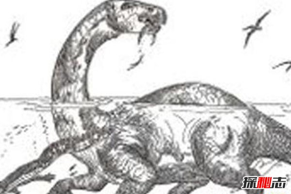 世界上唯一一只恐龙：魔克拉姆边贝，竟然被人吃掉了955 / 作者:UFO外星人爱好者 / 帖子ID:47549