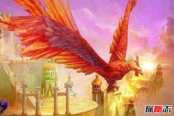 世界上最后一只凤凰，惊现黑龙江，凤凰目击事件盘点15 / 作者:UFO外星人爱好者 / 帖子ID:47520