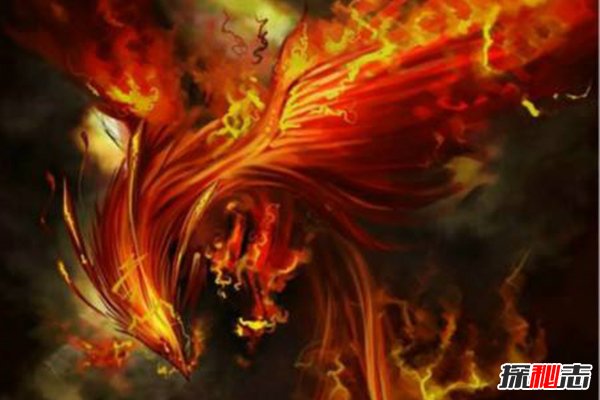 世界上最后一只凤凰，惊现黑龙江，凤凰目击事件盘点191 / 作者:UFO外星人爱好者 / 帖子ID:47520