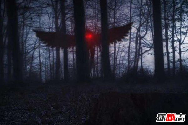 为什么说天蛾人已不再神秘，天蛾人真的存在吗4 / 作者:UFO外星人爱好者 / 帖子ID:47550
