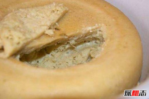 意大利活蛆乳酪有人吃过吗，堪称世界上最恶心的食物253 / 作者:UFO外星人爱好者 / 帖子ID:47535