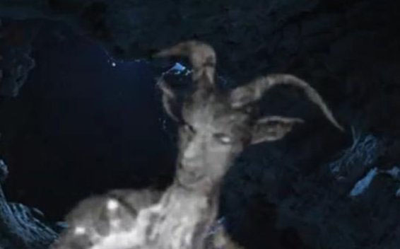 美国山羊人之谜，半人半羊的恶魔，是传说还是实验产物980 / 作者:UFO外星人爱好者 / 帖子ID:47601
