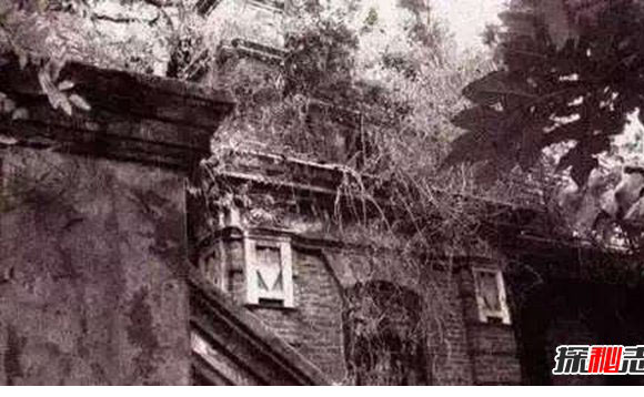 永生人叶先国是仙人吗？叶先国事件科学解释864 / 作者:UFO外星人爱好者 / 帖子ID:47653