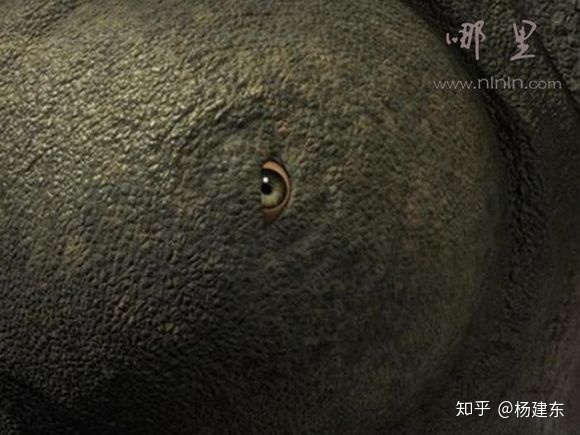太阳上有没有可能存在生命？489 / 作者:wz306 / 帖子ID:47696