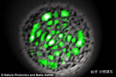 太阳上有没有可能存在生命？828 / 作者:wz306 / 帖子ID:47696