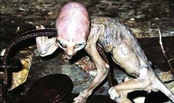 世界上有外星人吗,揭秘五件外星人接触事件376 / 作者:UFO外星人爱好者 / 帖子ID:47757